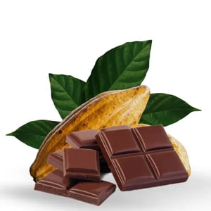 8gr 72% Chocolate Oscuro Ecuador