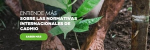 Normativas internacionales de Cadmio