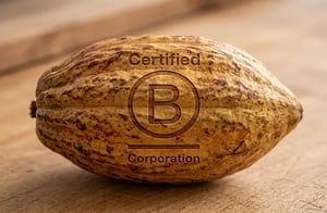 B Corp Certification