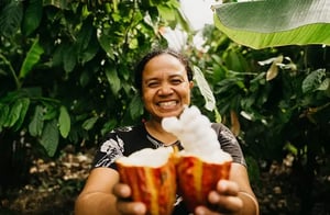Beyond Sustainability