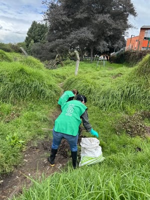 Waste Management