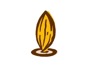 Fine Flavour Cocoa