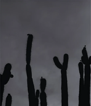 Climate