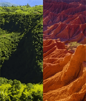 Soil