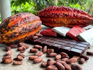 alternative chocolate ingredients 