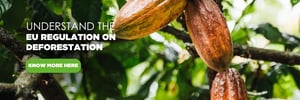 What is the EUDeforestation Regulation