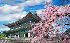luker-steps-in-asia