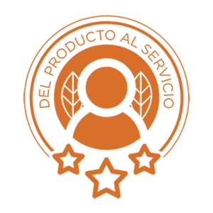 From Product to Service