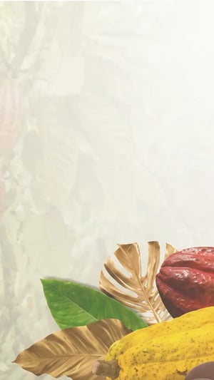 selected-origins-bg