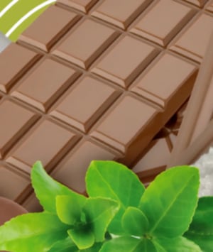 sugar-free-chocolate-manufaturer