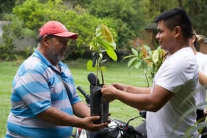 Environmental Management