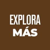 Explora más