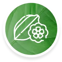 Abastecimiento de cacao